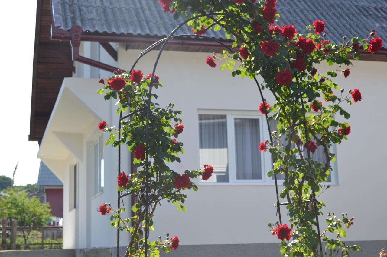 Casa Maria Guest House Prundul Birgaului Ngoại thất bức ảnh